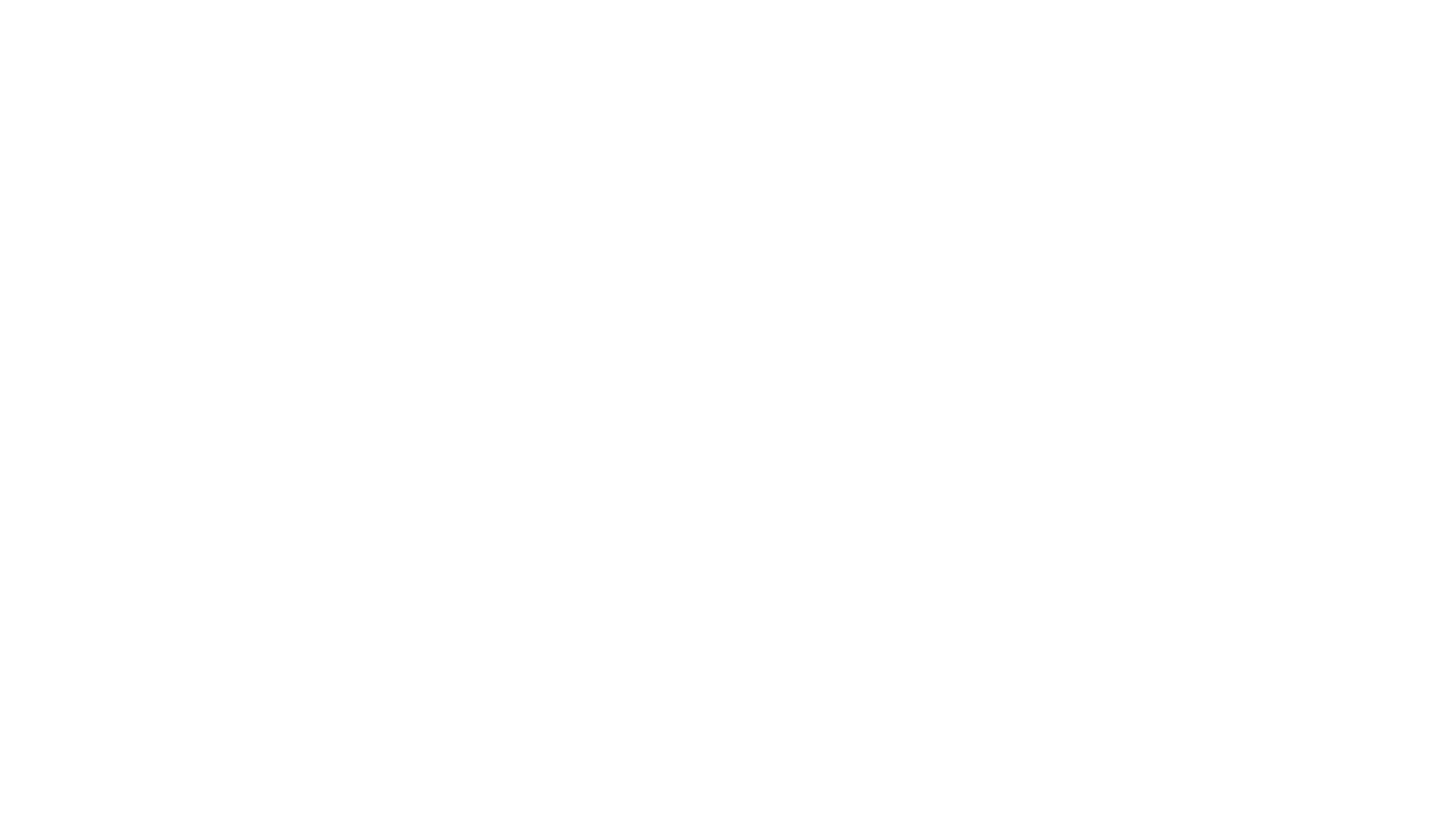 Solid Space — logo
